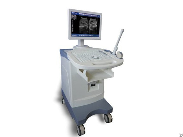 Ultrasound Scanner Bw 5plus