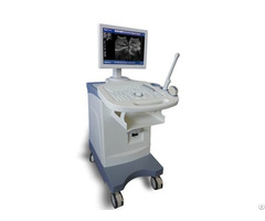 Ultrasound Scanner Bw 5plus