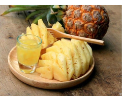 The Fresh Pineapple Wholesale From Vietnam