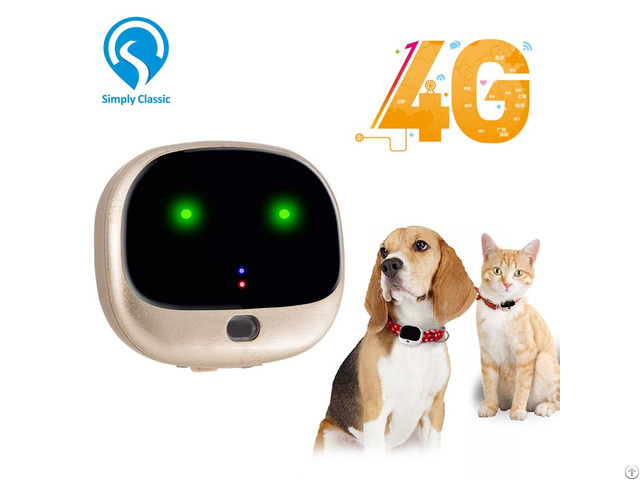 V43 4g Real Time Tracking Pet Dog Gps Tracker Sms Waterproof Collar