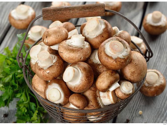 Dried Shiitake Mushrom From Vietnam Best Price High Quality