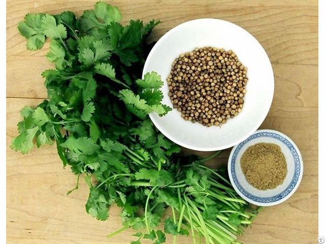 Coriander Seed