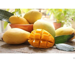 Quality Fresh Natural Fruit Sliced Chunk Pieces Canned Mango In Syrup