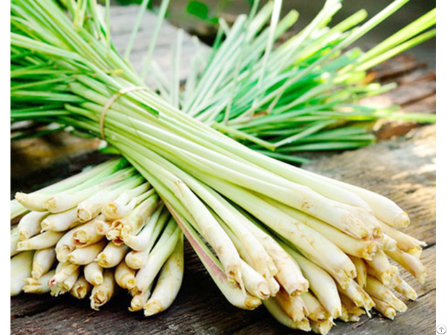 Fresh Lemongrass