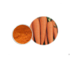 Carrot Flour For Cooking And Cosmetic