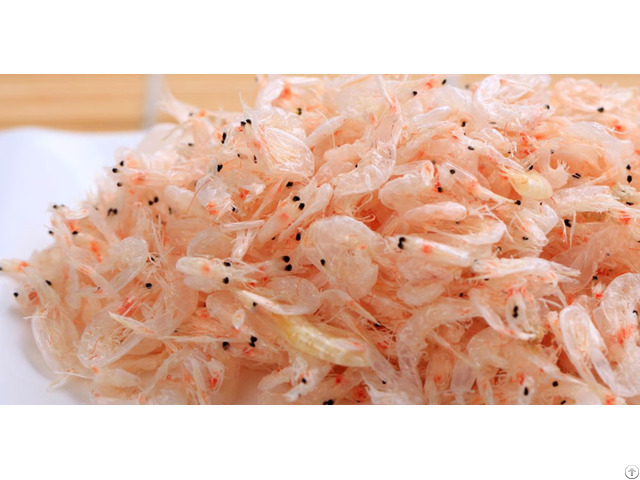 Dried Baby Shrimp With Best Price