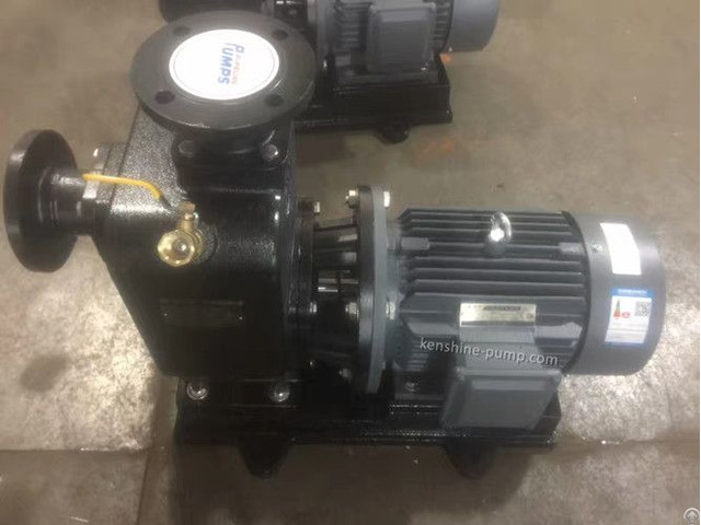 Zwl Self Priming Sewage Pump Closed Coupling