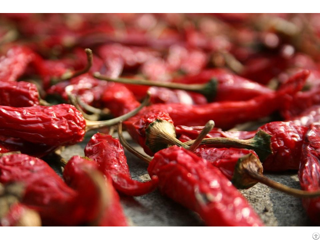 Dried Chilli