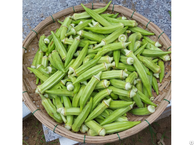 Fresh Okra