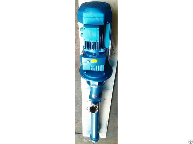 Lg Vertical Submersible Screw Pump