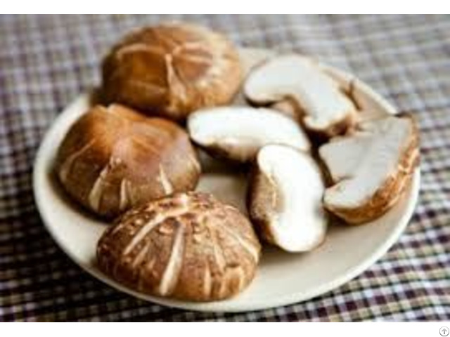 Dried Shiitake Mushrom From Vietnam