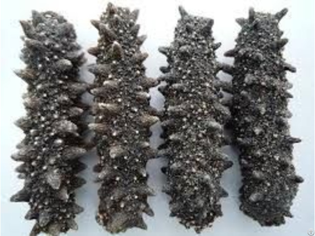 Vietnam Dried Sea Cucumber