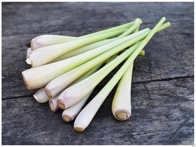 Lemongrass With High Quality