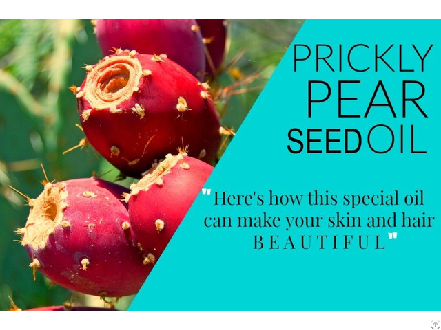 Organic Prickly Pear Seed Oil