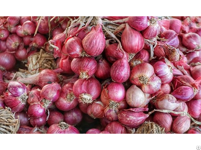 Natural Fresh Non Peeled Red Onion Export