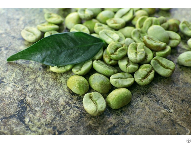 Green Coffee Bean