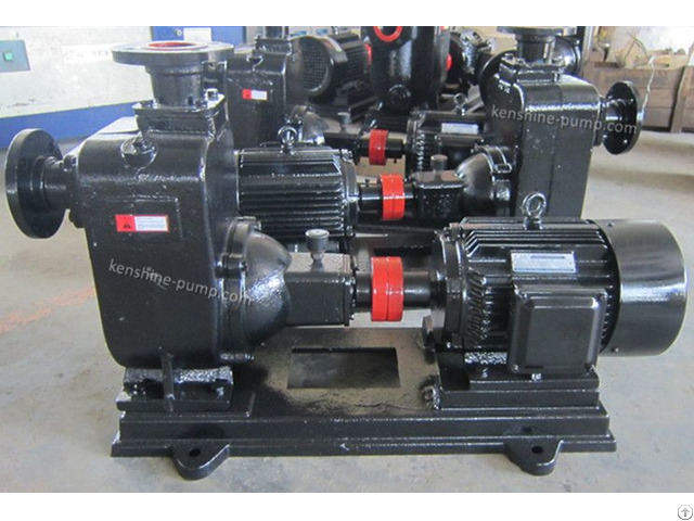 Zw Horizontal Self Priming Sewage Pump