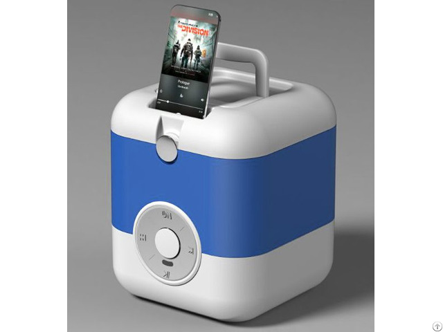 Mini 10 L Portable Cooler Box With Bluetooth Speaker