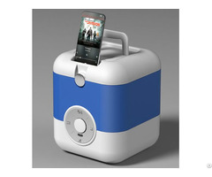 Mini 10 L Portable Cooler Box With Bluetooth Speaker