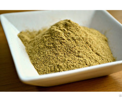 Lemongrass Powder Spice