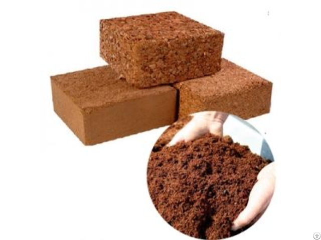 Coco Peat For Plant