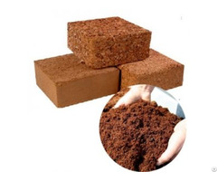 Coco Peat For Plant