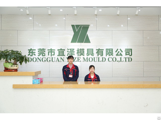 The High Manufacturing Level Of Precision Mold Components In Yize Mould