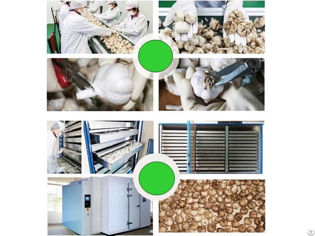 What Is The Commercial Black Garlic Machine