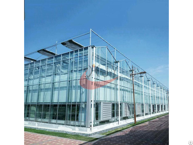 Commercial Agricultural Glass Greenhouse For Flower And Vegetables