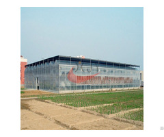 Agricultural Polycarbonate Greenhouse