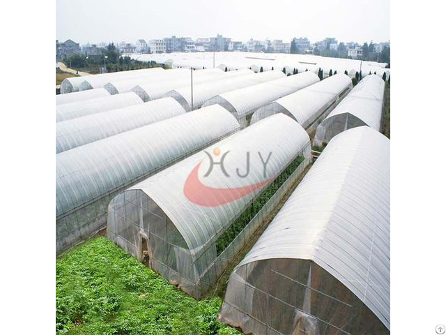 Agricultural Single Span Plastic Film Greenhouse