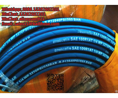 Steel Wire Braided Hoses
