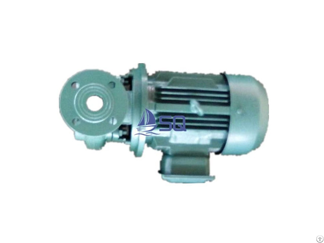 China Sewage Pump