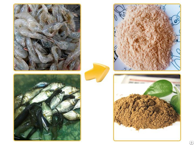 What Is The Best Fish Meal Machine