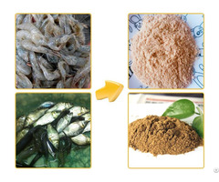 What Is The Best Fish Meal Machine