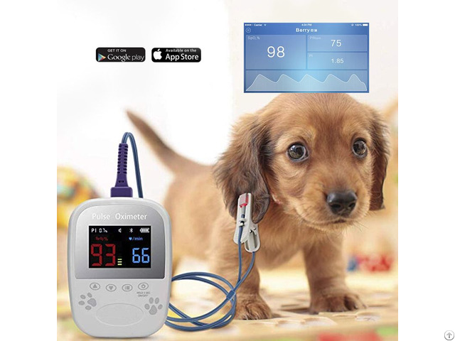 Veterinary Pulse Oximeter Am1000a