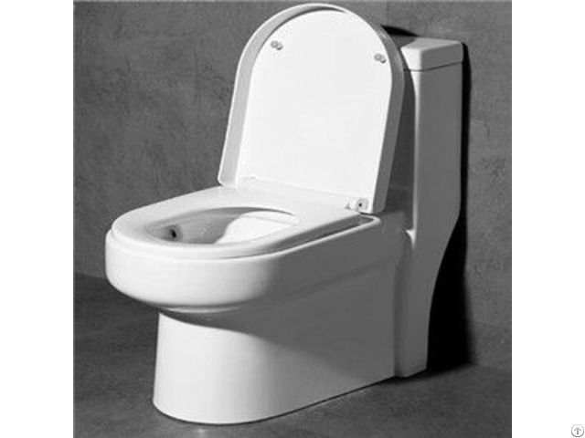 Floor Mounted Noiseless Closing Water Saving One Piece Toilet China