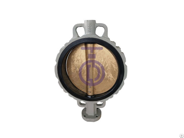 Stainless Butterfly Valve Cbf01 Ta11