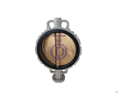 Stainless Butterfly Valve Cbf01 Ta11