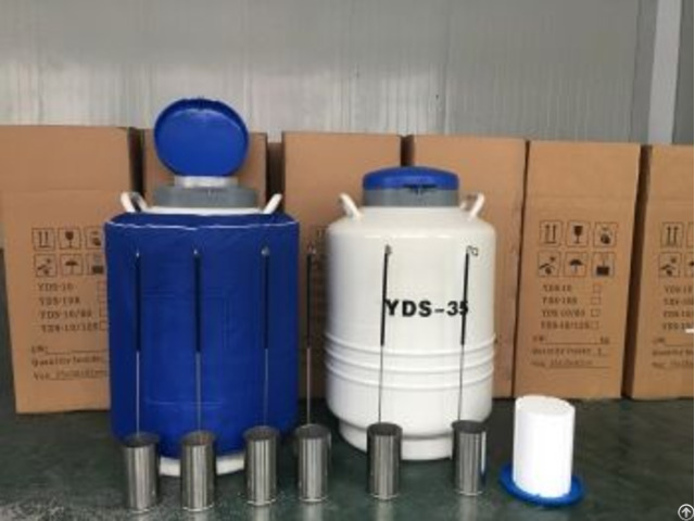 International Cryogenics Yds 35 Liquid Nitrogen Tank 35liter Capacity