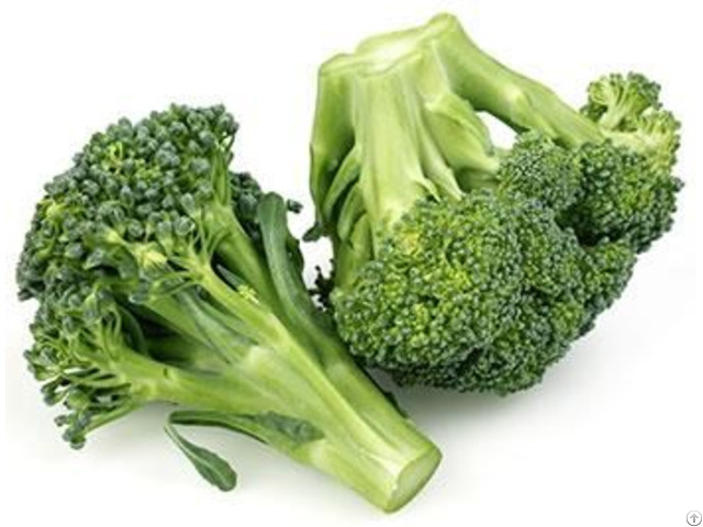 Broccoli Extracrt