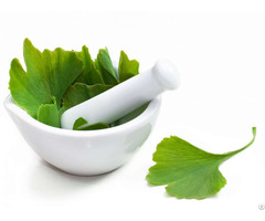 Ginkgo Biloba Extract Flavone Glycosiders