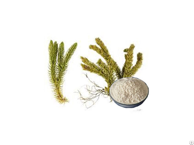 Huperzine A Fuyanpharm