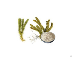Huperzine A Fuyanpharm