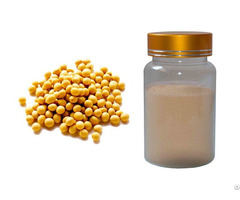 Soybean Extract Soy Isoflavones Saponins