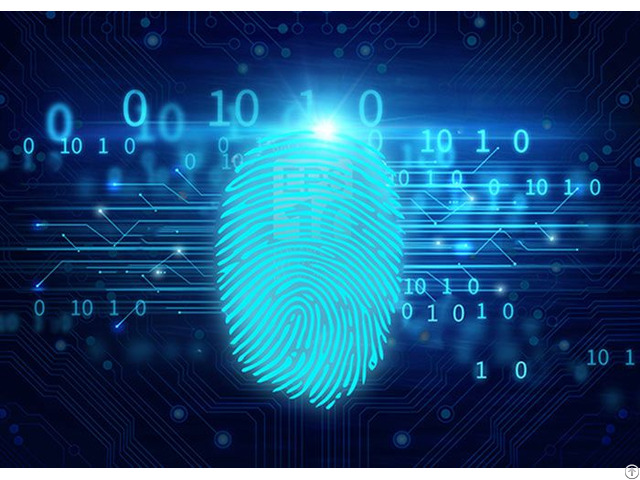 Miaxis Fingerprint Recognition Algorithm Justouch