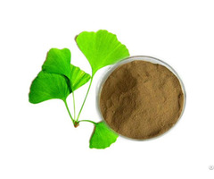 Plant Extract Ginkgo Flavone Glycosides Total Terpene Lacton
