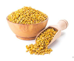 Fenugreek Extract Trigonelline