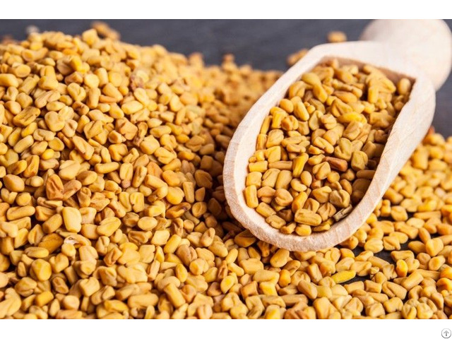 Fenugreek Extract Trigonelline 4 Hydroxyisoleucine