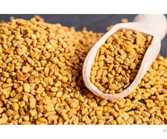 Fenugreek Extract Trigonelline 4 Hydroxyisoleucine
